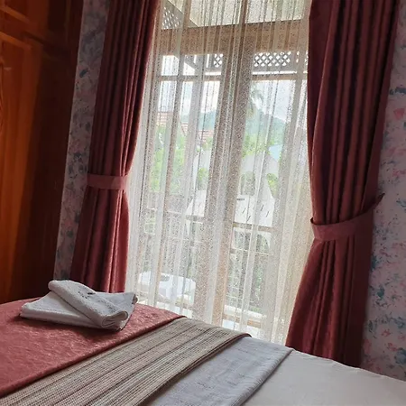 Agon Hotel 3*